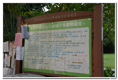 單身的人兒啊，請你看過來——蓮花山婚介角一瞥